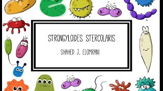 Strongyloides Stercolaris [upl. by Sanoj]