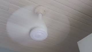 Fairpoint socket ceiling fan test [upl. by Kcod]