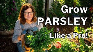 PARSLEY GROWING GUIDE Seed to Harvest [upl. by Akayas]