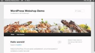 WordPress Webshop Widgets WooCommerce [upl. by Hartnett]