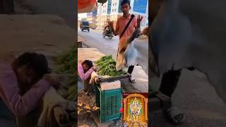 Helping help cow animalscomedy comedyfilms funny comedymovies tamil tamilcomedy motivation [upl. by Anjela759]