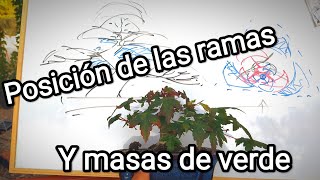 Esquema y posición de las ramas y masas de verde en bonsai [upl. by Howlan995]