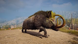 Legendary animal Erymanthian Boar location and fight AC OdysseyGameplay [upl. by Retse]