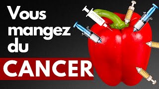 TOP 10 des aliments que je ne mange plus  cause du cancer et de la démence [upl. by Brynn470]