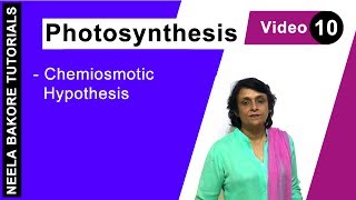 Photosynthesis  NEET  Chemiosmotic Hypothesis  Neela Bakore Tutorials [upl. by Katrinka113]