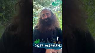 Costa Georgiadis Our garden warrior sharing sustainable living knowhow [upl. by Zarah]