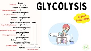 Glycolysis  Made easy in just 5 min  Biochemistry  Medinare [upl. by Zarihs559]