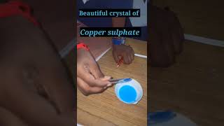 Beautiful triclinic crystals of copper sulphate [upl. by Grey]