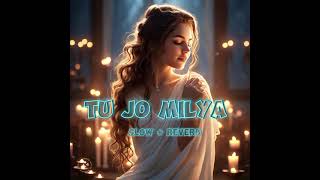 Tu jo Milya slowreverb song [upl. by Wiedmann]