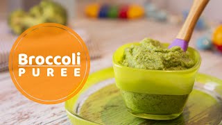 Broccoli Puree For 6 Month Old Baby  Broccoli puree recipe [upl. by Hluchy]