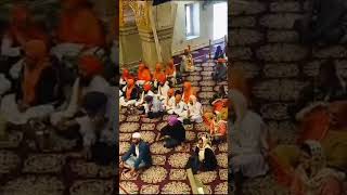 Amrit sanchar sewa budhwaar Sisganj sahib [upl. by Yeblehs]