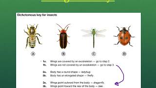 Unit 2 How to Use a Dichotomous Key [upl. by Aerdnahc]