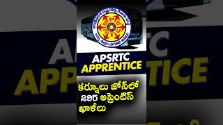 APSRTC Apprentice  Apsrtc Apprentice Notification 2024  APSRTC Kurnool Zone 295 Apprentice [upl. by Aivlys898]