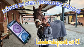 Dörte in der Tierklinik Lüsche  Lahmheitsdiagnostik mit künstlicher Intelligenz [upl. by Karlee2]