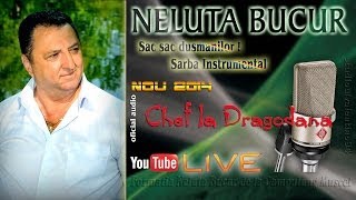 NELUTA BUCUR  Sac sac dusmanilor  Sarba instrumental live audio [upl. by Madelina906]