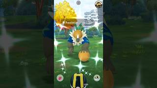 SHINY PASSIMIAN amp ORANGURU from Pokemon GO Research Day shinypokemon pokemongo pokemonshiny [upl. by Leinod]