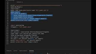 Pytorch vs onnxruntime comparison during inference [upl. by Olag]