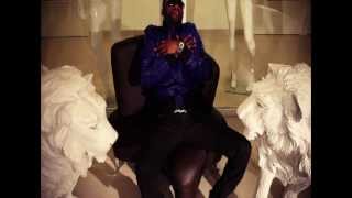 Fally Ipupa  Nyokalessé Clip Officiel [upl. by Stace]