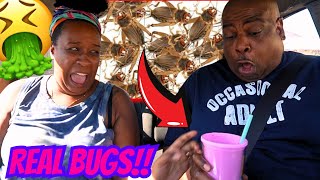 Putting REAL BUGS in my fiancee DRINK PRANK HILARIOUS REACTION [upl. by Leonteen]