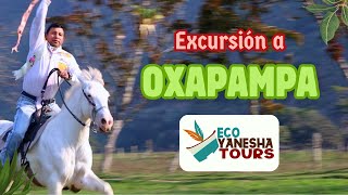 Excursión Oxapampa con la 𝙄𝙀 𝙅𝙪𝙖𝙣𝙖 𝙈𝙤𝙧𝙚𝙣𝙤 [upl. by Sillad749]