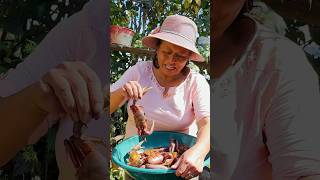 Caldo de cangrejo rojo con maní y plátano campesina comida receta vidacampesina [upl. by Perdita462]