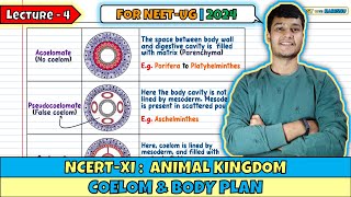 Lec 4 Coelom amp Body Plan Animal Kingdom Class 11 NEET 2024 [upl. by Godfree]