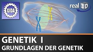 Trailer  Genetik I  Grundlagen der Genetik  Biologie  3D Software [upl. by Kreda581]