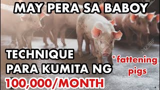 KUMITA NG 100K KADA BUWAN SA PAGAALAGA NG BABOYNEGOSYO PHILIPPINES [upl. by Ainsworth526]