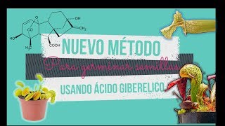 Cómo usar el Ag3 para germinar semillas de plantas carnívoras [upl. by Ardnasyl]