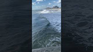 Jacksonville Beach Florida surf cam shorts [upl. by Donelson]