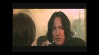 YTP Severus Snapes Romance [upl. by Anuahs728]