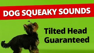 Squeaky toy dog toy  Squeaky toy sounds 1 hour  Dog Running videos –Tilted Head [upl. by Cristy637]