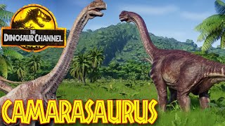 What was the Camarasaurus  The Dinosaur Channel [upl. by Finnigan]