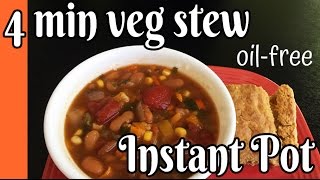 4 Minute Vegetable Stew in the Instant Pot [upl. by Evelunn147]