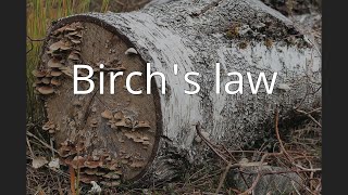 Birchs law [upl. by Straus]