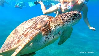 SNORKELING Egypt  Marsa Alam coral reefs and turtles [upl. by Ehtylb451]