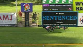 CapalabaWednesday23102024Race12 [upl. by Ellesor]