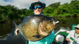 DEADLY PIRANHA Catch and Cook in the AMAZON Jungle EPIC [upl. by Whitson]