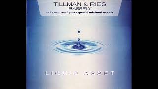 Tillmann Uhrmacher amp Peter Ries  Bassfly Moogwai Remix [upl. by Karel]