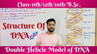 Structure and Double Helicle Model of DNA [upl. by Junieta807]