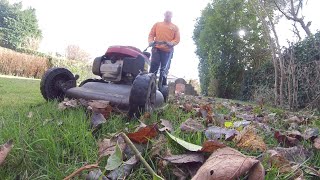 EASY simple garden maintenance basic gardening you can do [upl. by Eileek]