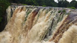 Parc Ivindo  Gabon  Chutes de Kongou [upl. by Nodnol]