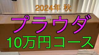 【2024年 エアガン福袋】プラウダ 10万円コース サバゲー福袋 [upl. by Grantland]