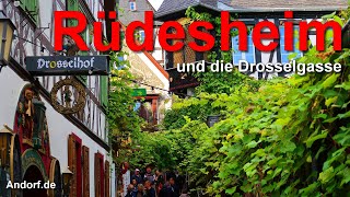 Rüdesheim und die Drosselgasse [upl. by Anairt]