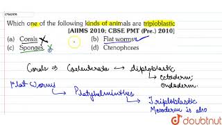 Which one of the following kinds of animals are triploblastic [upl. by Clarabelle]