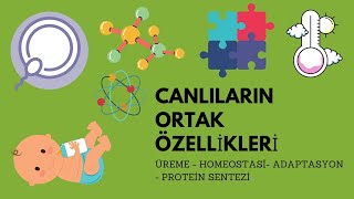 5 Canlıların Ortak Özellikleri5 ÜremeHomeostasiAdaptasyonProtein Sentezi 9SINIF [upl. by Lodie]