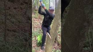 Firewood cutting process with the steel knife [upl. by Ahsimrac]