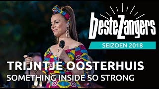 Trijntje Oosterhuis  Something inside so strong  Beste Zangers 2018 [upl. by Zara61]