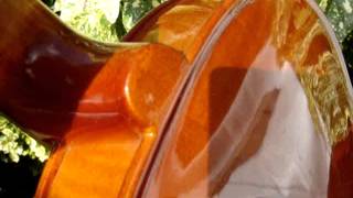 Possibly Vintage STENTOR Violin For Restoration  Spare or Repair See Video [upl. by Mikol]