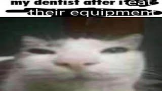 memes that make you DENTIST [upl. by Daeriam]